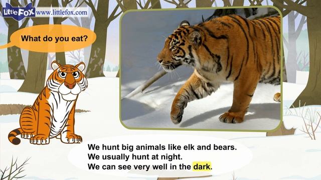 Meet the Animals 13_ Siberian Tiger _ Level 2 _ By Little Fox