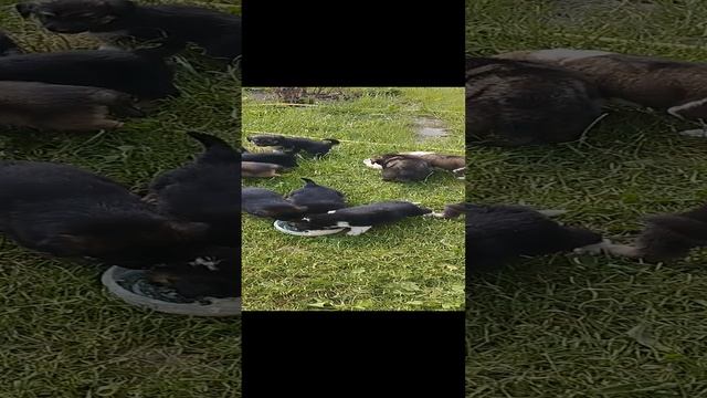 1000009661.mp4