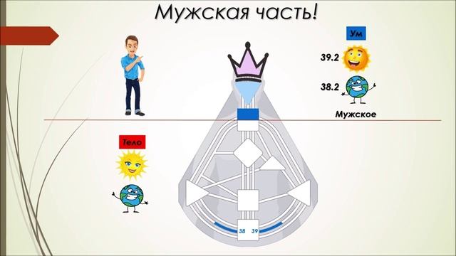 Дизайн Человека "Мужское и женское"