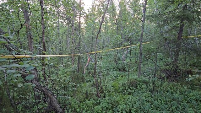 Земельный участок 733 м² в населённом пункте Шонгуй
