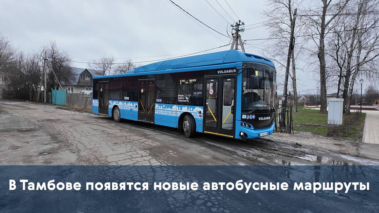 В Тамбове появятся новые автобусные маршруты