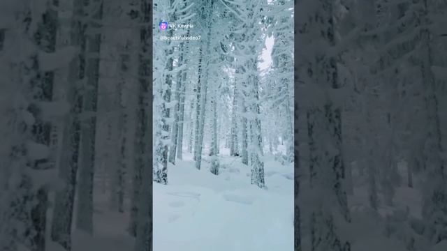 отрывок из книги Майкл Ньютон