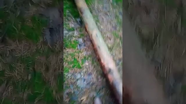 Где взять энергию когда нет сил ?