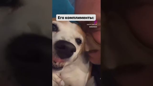 Четкий комплимент! #юмор #funny #прикол #смех #дуэт #cat #prank #memes