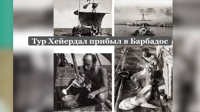 Интересные факты