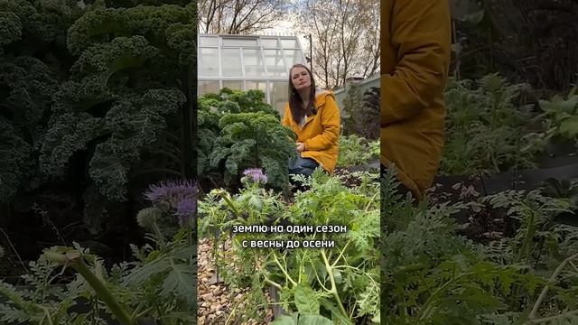 Подкормите деревья и избавьтесь от сорняков