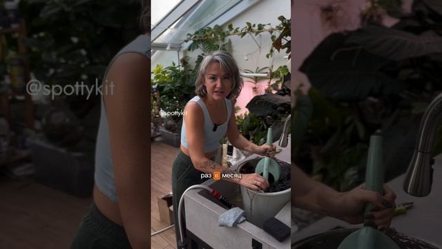 Кормить или не кормить? Сохраняете: