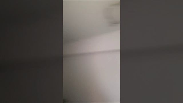 Голубые дали, 40