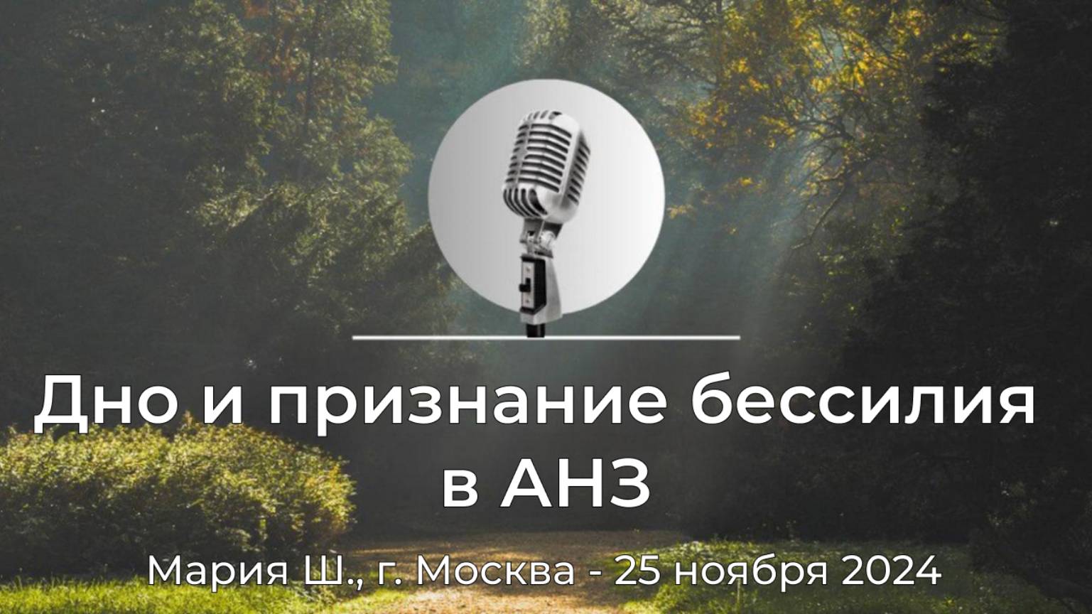 Спикерская АНЗ "Дно и признание бессилия в АНЗ" Мария Ш., г. Москва, 25 ноября 2024 года