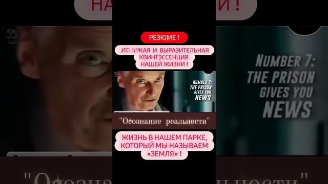 Просыпайтесь и становитесь осознанными