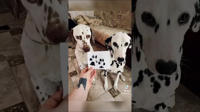 Бони и Лайт ❤️
