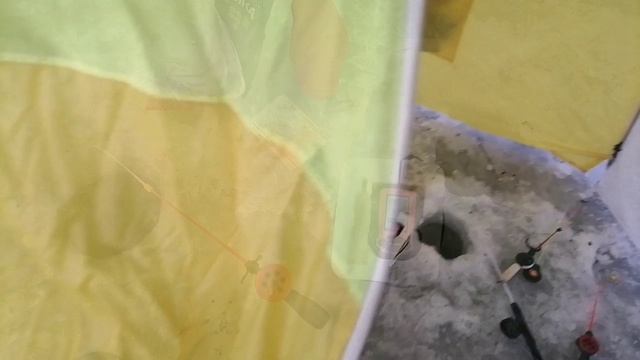 Поиск леща на ВИПе. Нашел яму 5 метров
