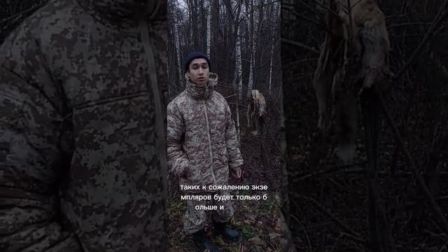 Возвращение вида колобковых