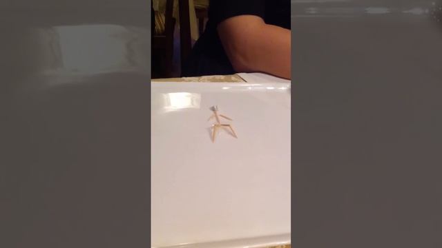 система секс - равлекуха за столом