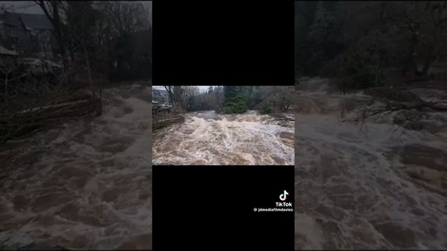 ПОТОП В АНГЛИИ ПОМОЩЬ, ЧАЙ Т- БАНК 89059421154 КАРТА 5536914058794359