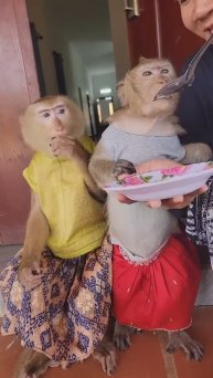 Yummy food to all mommy feeding