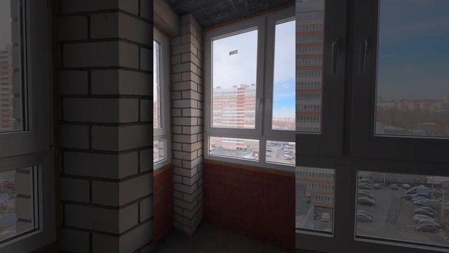 26-11-2024