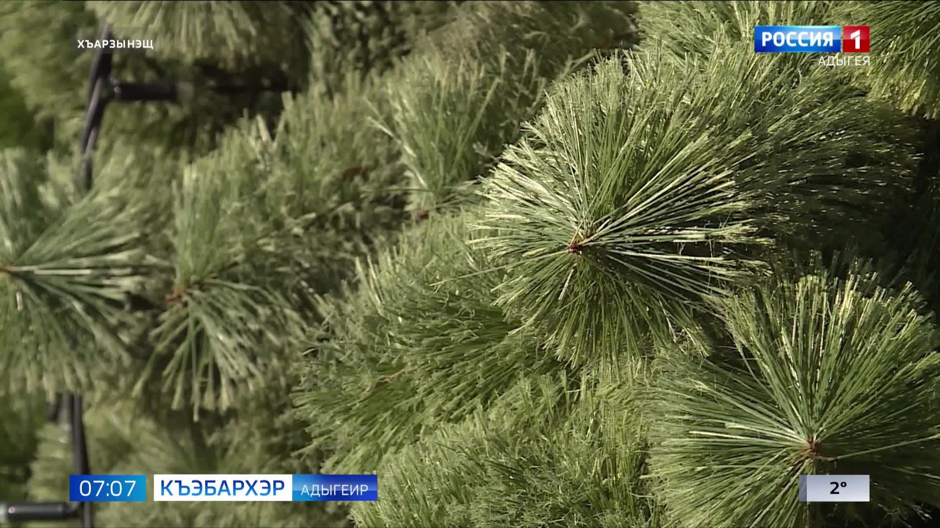 7.07 – Къэбархэр пчэдыжьым от 26.11.2024г.