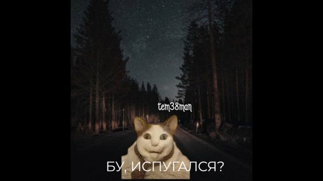 tem38man – БУ, ИСПУГАЛСЯ, 2024 (ПРЕМЬЕРА НОВОГО ТРЕКА) #популярное