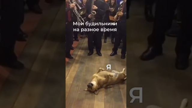 и так каждое утро