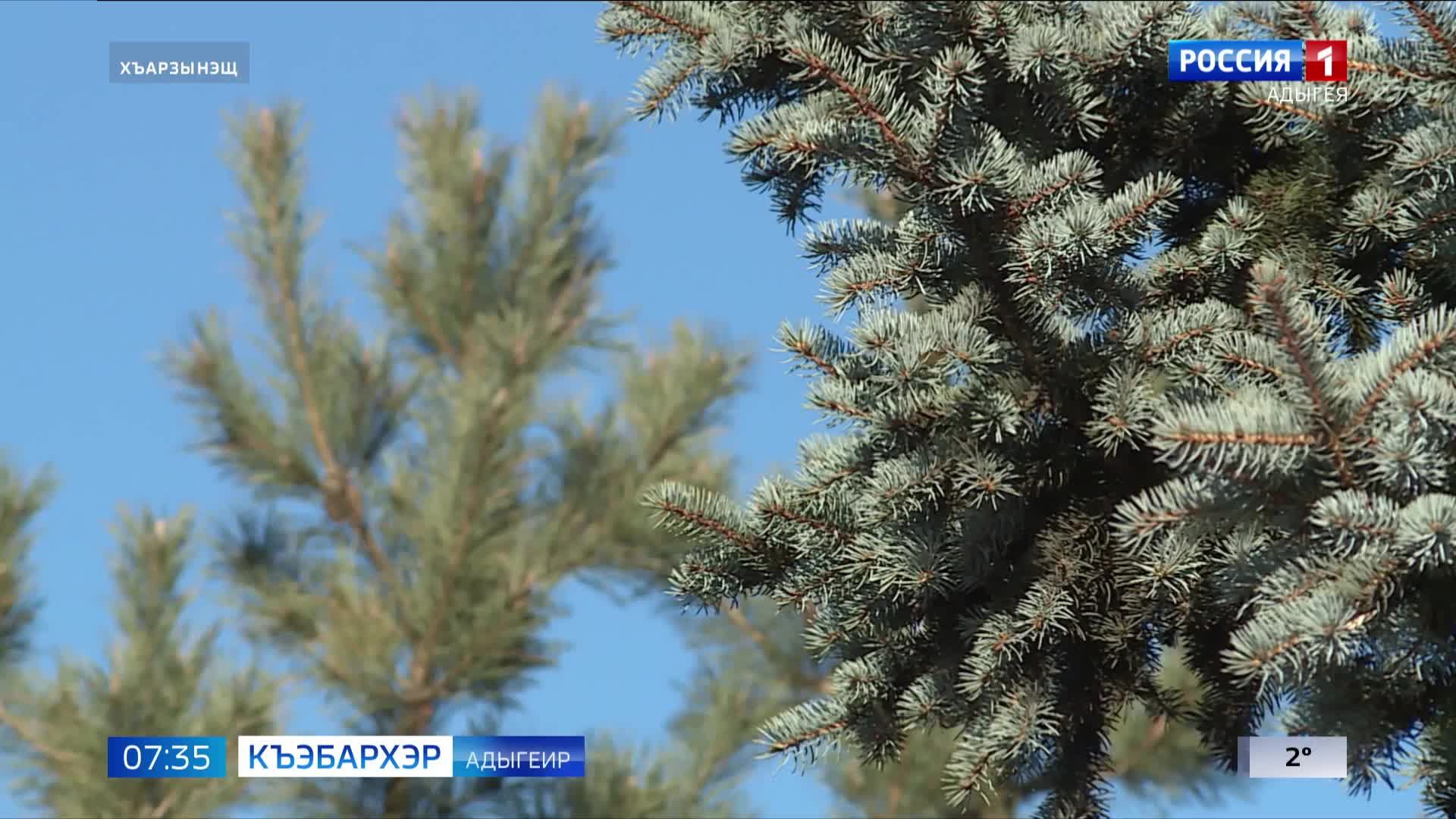7.35 – Къэбархэр пчэдыжьым от 26.11.2024г