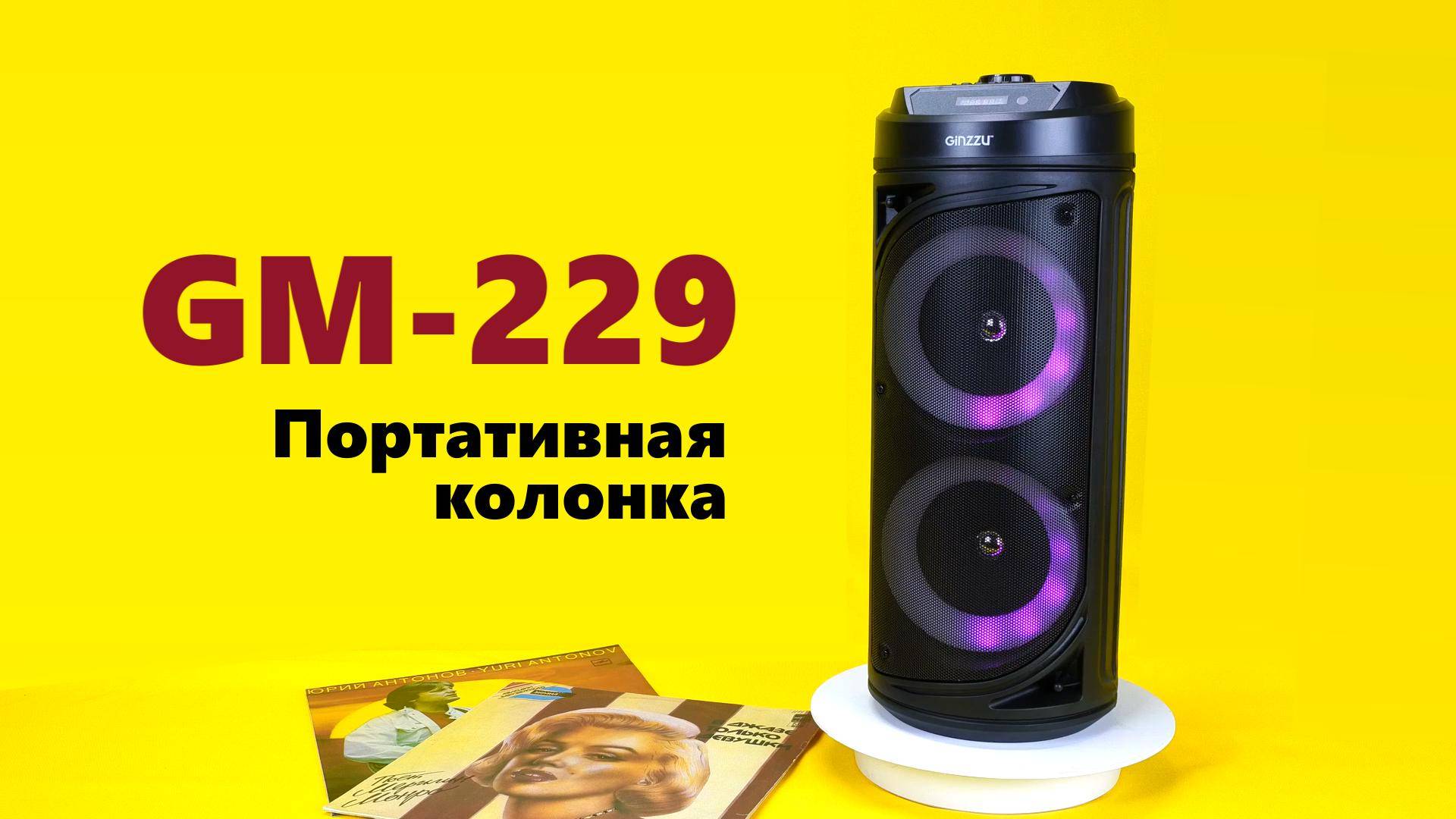 Обзор Портативной Midi-системы Ginzzu GM-229
