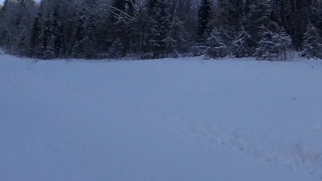 алтайвест 2019
