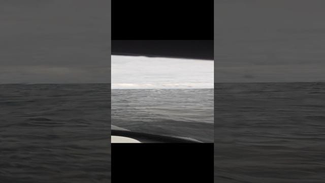 1000007195.mp4