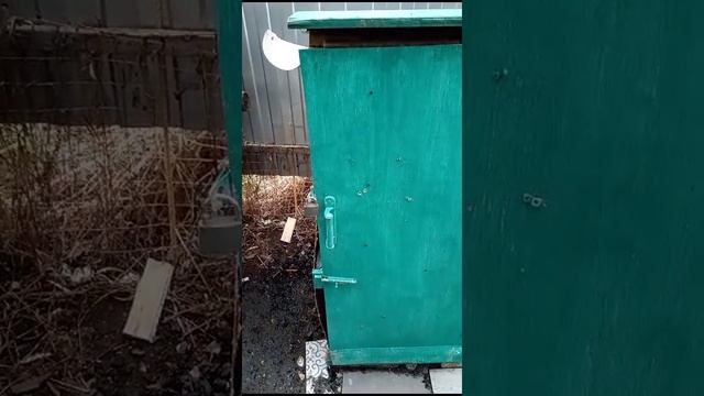 VID-20241126-WA0000.mp4