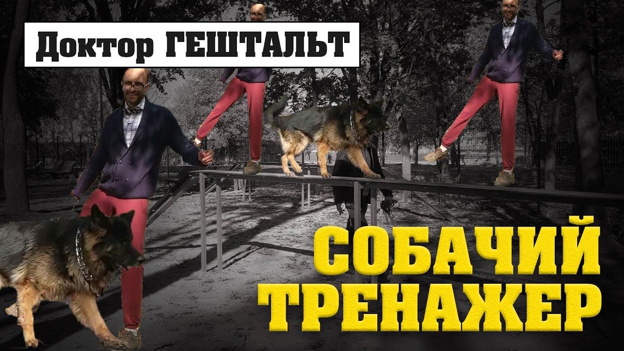 Доктор Гештальт - Собачьий тренажер
