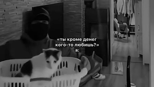 КОТИК