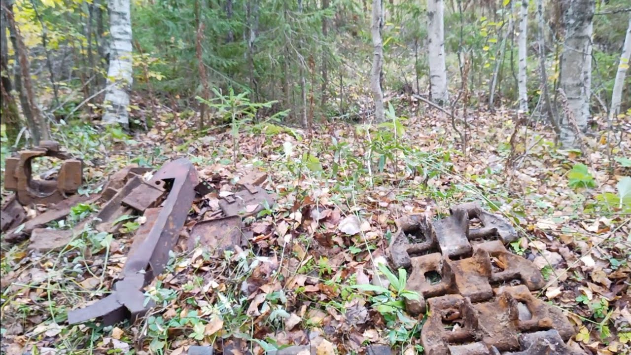 Нашёл стоянку тракторов на старой  УЖД