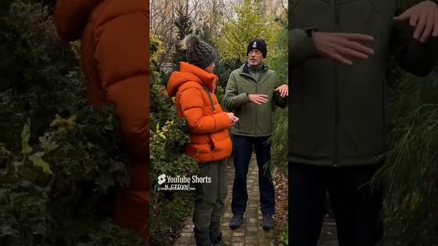 Про обрезку хвойных с Андреем Дарусенковым.