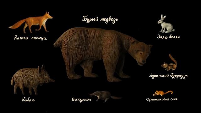 Мы живем в России - Мари Эл (Видеоэнциклопедия нашей страны)