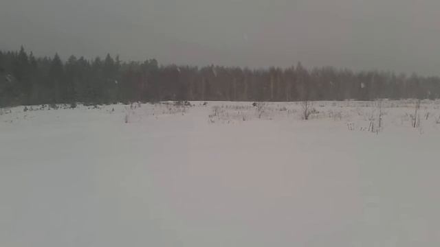 23 февраля 2017 года 16:50:33(мск)