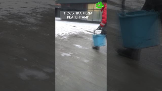 ПОСЫПКА ЛЬДА РЕАГЕНТАМИ ЗИМОЙ #жкх #зима #гололёд #гололед #песок #безопасность #уборка #двор