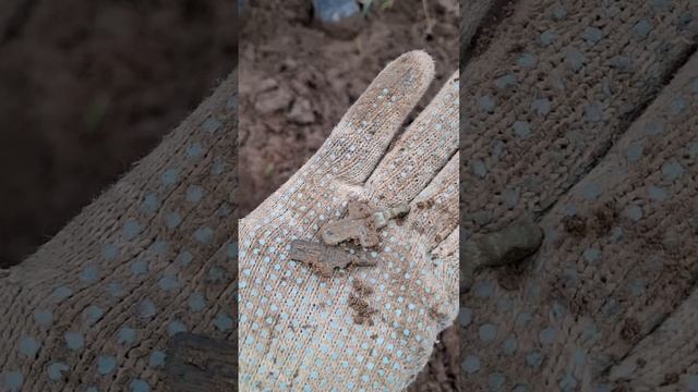 НАХОДКИ