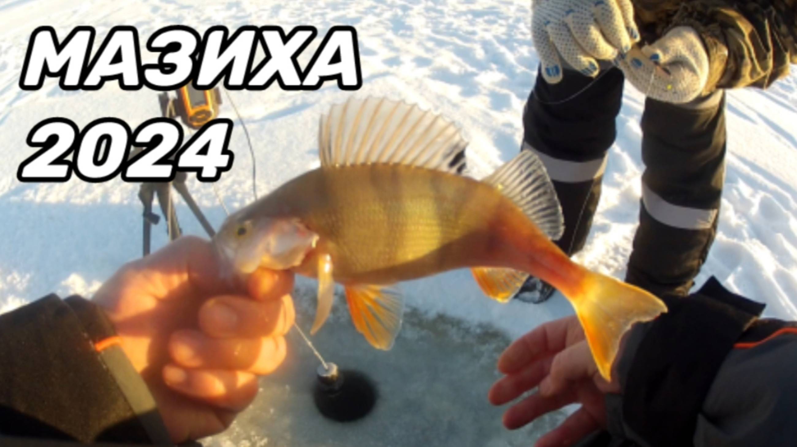 НАШЕЛ ЛУНКУ С ОКУНЕМ и ПОДЖОПНИКИ ТУТ КАК ТУТ!!!