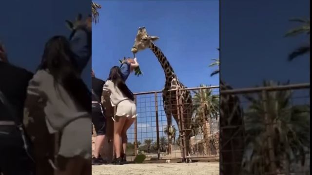 13.MP4