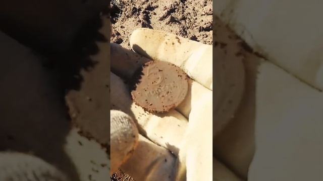 КЛАССНЫЙ ПЯТАК! Находки как всегда радуют! #копмонет #коп #coin #metaldetector #копновое #поискмонет