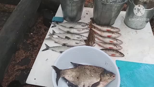 Пяозеро
