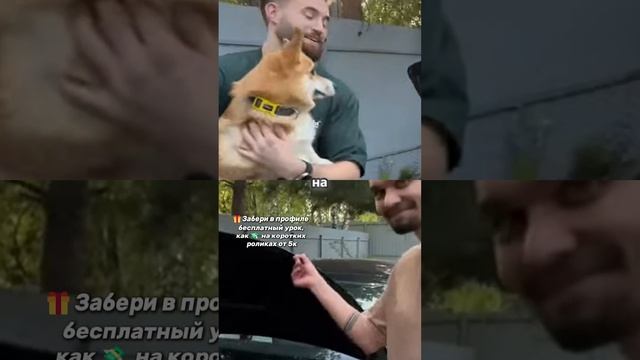 Что у Теслы под капотом?
