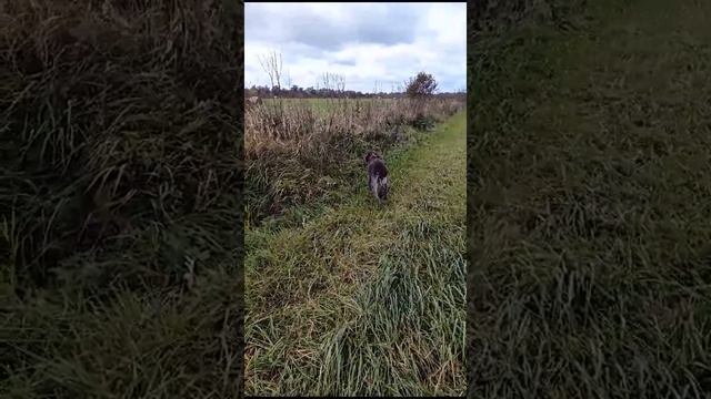 1000016060.mp4