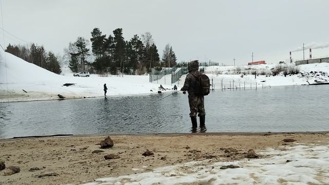 заскочил на часок протестить новую палку