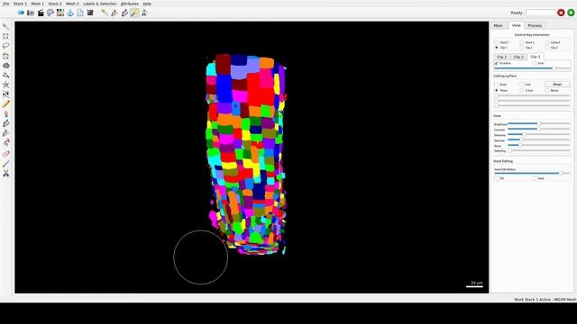 Tutorial Video S6 3D mesh generation and cell segmentation with CNN