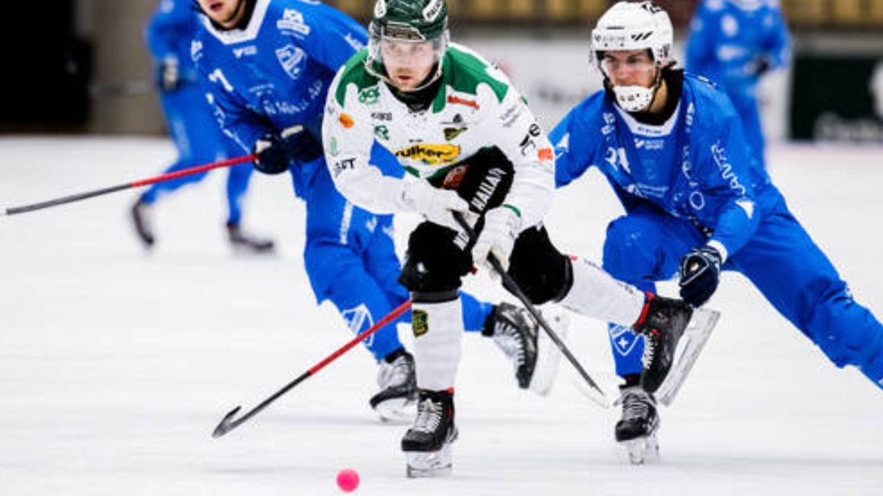 «IFK Vänersborg»-«Frillesås BK» 26 Nov Elitserien 2024-25