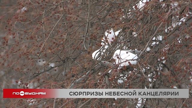 Дождь и плюсовые температуры ожидаются в Иркутской области