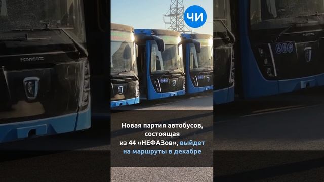 Рустам Минниханов в Челнах вручил сертификат на 44 больших автобуса «НЕФАЗ»