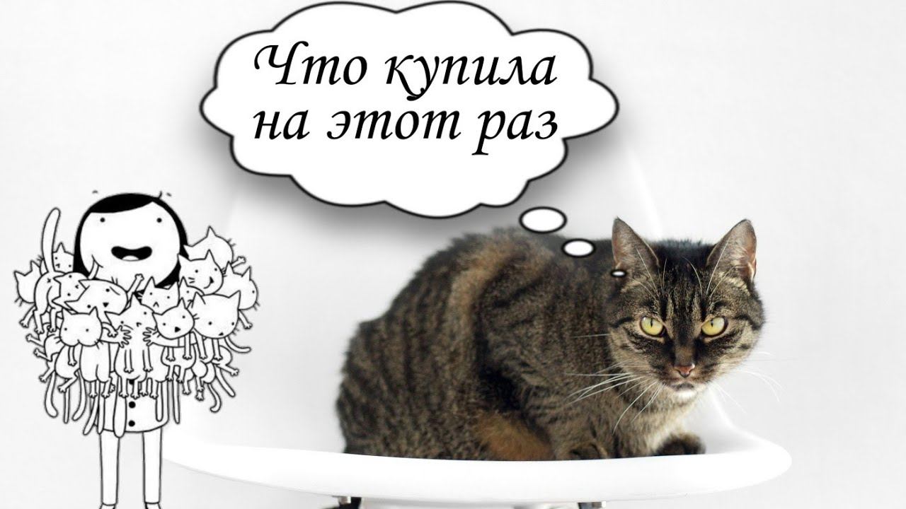 🛒Покупки 👛💰👐 с эконом магазина 🌠