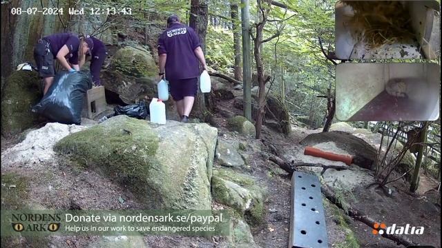 Лушата болеют. Уборка ближнего домика